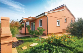 Pet Friendly Home In Peroj With Kitchen